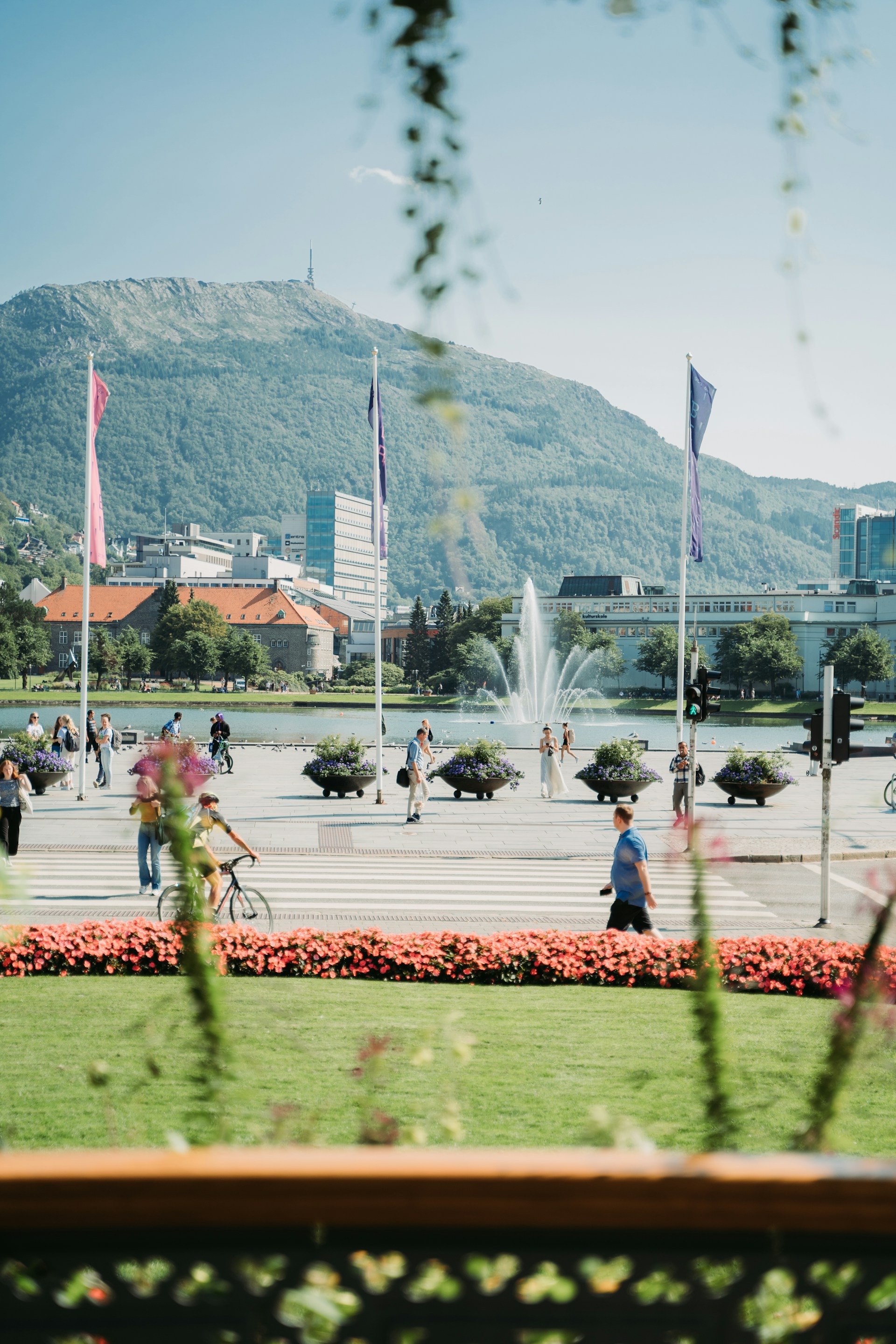 Bergen by en sommerdag