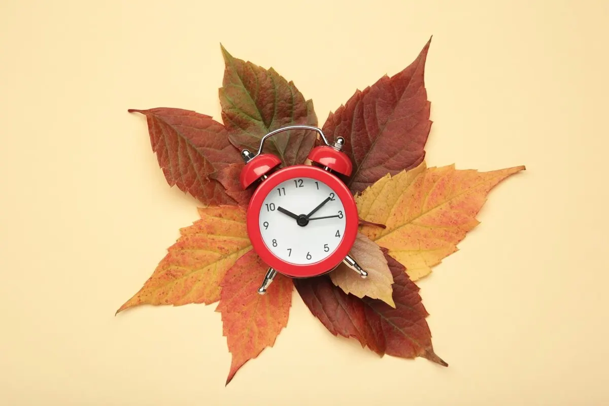 Hvorfor stiller vi klokken? Alt om sommertid og vintertid