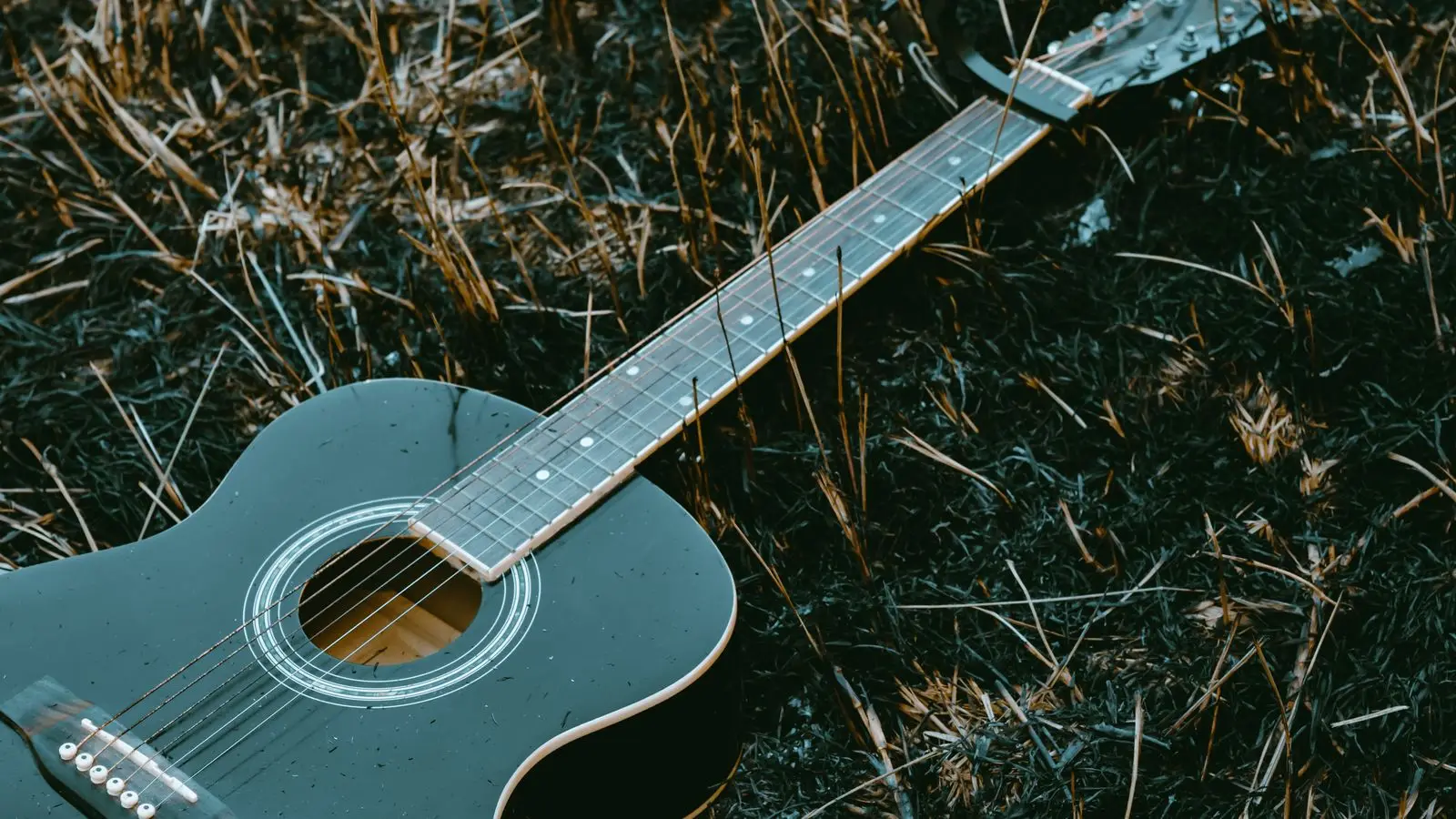 Illustrasjonsbilde: Akustisk gitar i gresset